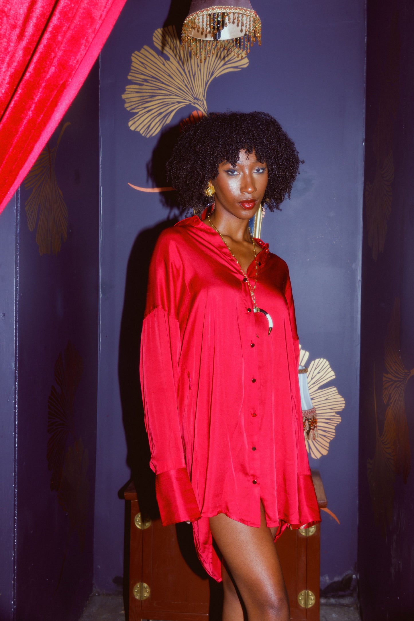 SCARLET LETTER BUTTON DOWN DRESS