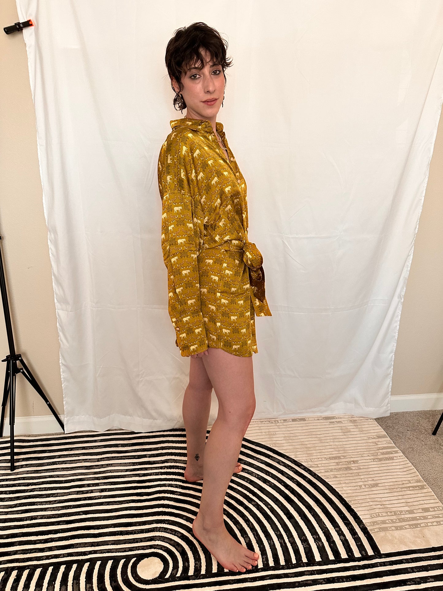 ELEPHANT ENERGY BUTTON-DOWN DRESS