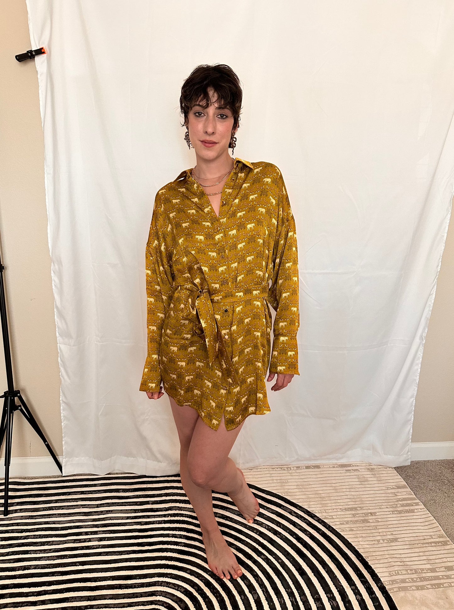 ELEPHANT ENERGY BUTTON-DOWN DRESS