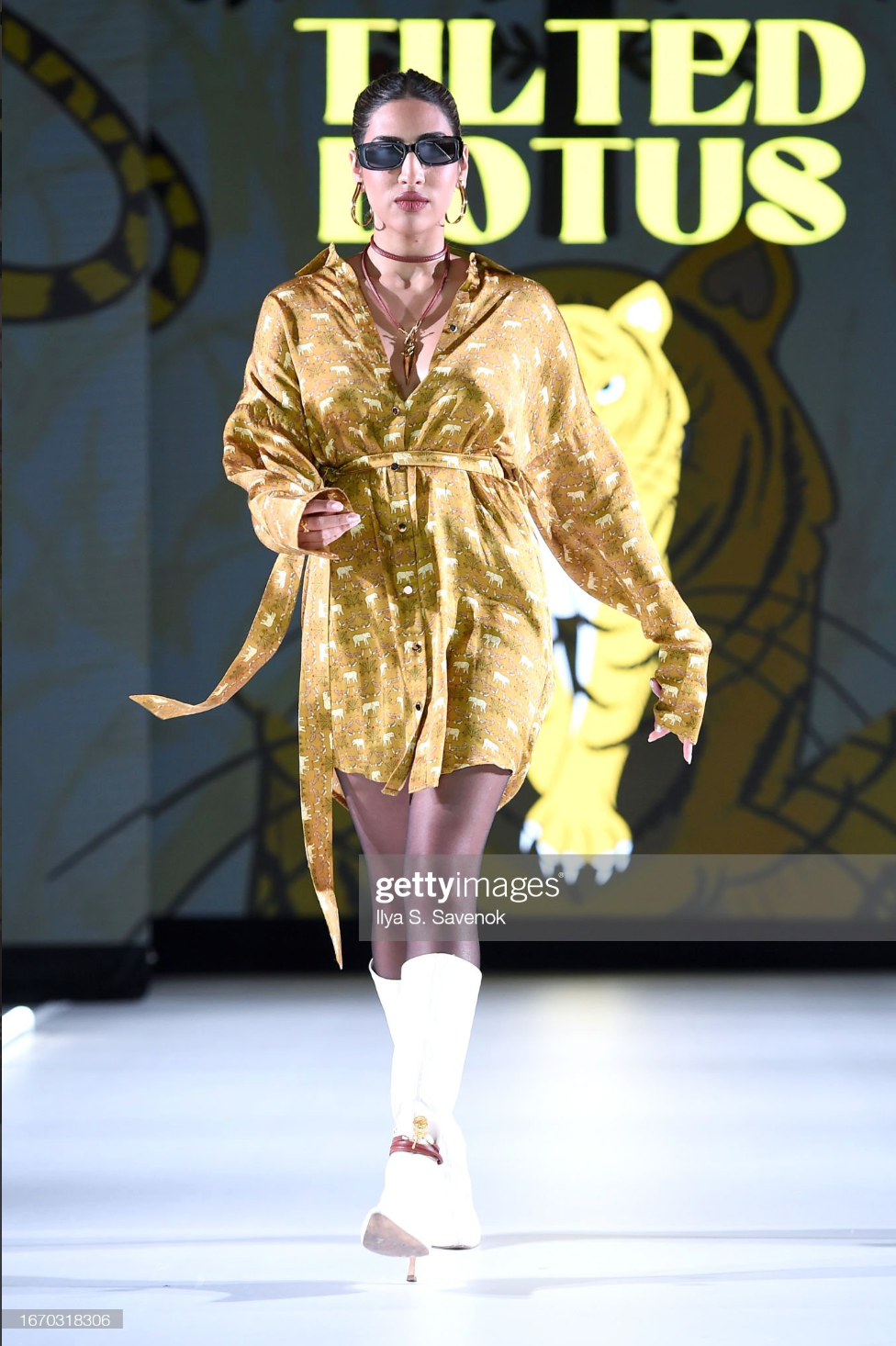 ELEPHANT ENERGY BUTTON-DOWN DRESS